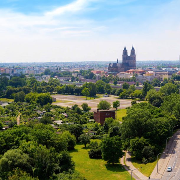 Pro Magdeburg e. V.