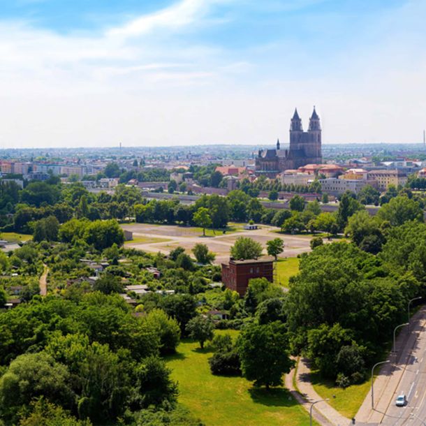 Pro Magdeburg e. V.